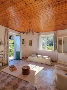 uma sala de estar com uma cama e um tecto de madeira em Appartamento Salvia em Acquedolci