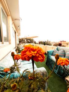 un jarrón con flores naranjas en la sala de estar en Roof for rent, Street 9, Maadi, en El Cairo