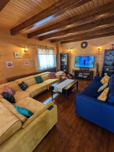 a large living room with couches and a television at Old Mark's House Sinaia in Sinaia