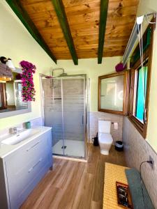 y baño con ducha, aseo y lavamanos. en Casa Rural Juan de Austria, en Cuacos de Yuste