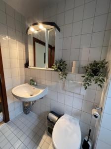 ein Badezimmer mit einem WC, einem Waschbecken und einem Spiegel in der Unterkunft Apartment 6 am Stuttgarter Flughafen-Messe in Leinfelden-Echterdingen