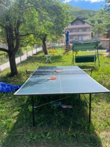 Stolní tenis v ubytování Demo's Place nebo okolí