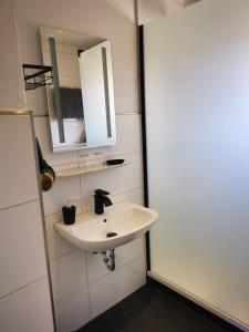ein Badezimmer mit einem weißen Waschbecken und einem Spiegel in der Unterkunft Ferienhaus Thalia 1 in Übach-Palenberg