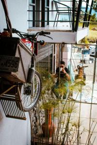 Majutusasutuse INLOFT Quindío külastajad