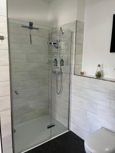 a shower with a glass door in a bathroom at Mein Quartier am Harz in Herzberg am Harz