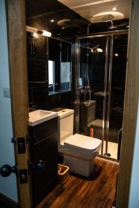 a bathroom with a toilet and a sink at The Rum Shack Manorbier Castle Inn in Manorbier