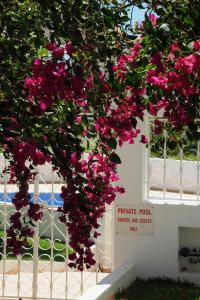 a bunch of pink flowers hanging from a white fence at Renovated Vale do Milho Golf Apartment with sea view in Carvoeiro