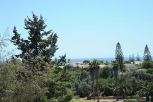 a view of the trees and the ocean at Renovated Vale do Milho Golf Apartment with sea view in Carvoeiro