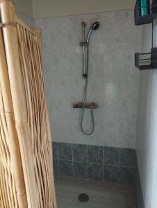 a shower with a shower curtain in a bathroom at La Coraillaise in Saint-Aigulin