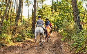 un grupo de gente montando caballos por un camino de tierra en cabane lodge avec spa privatif, en Livernon