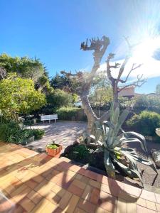 Zdjęcie z galerii obiektu Villa DAMALIX front de mer 5 pax Plage w miejscowości Saint-Raphaël