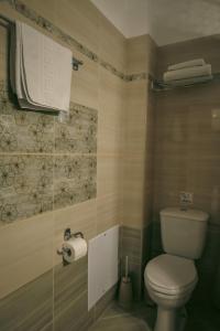 La salle de bains est pourvue de toilettes et d'un distributeur de papier toilette. dans l'établissement Baia Blu Apartments, à Sivota