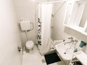 La salle de bains blanche est pourvue de toilettes et d'un lavabo. dans l'établissement Villa Gromaca, à Omišalj