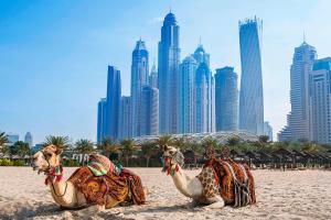 two camels on a beach with a city in the background at Habtoor Grand Resort, Autograph Collection in Dubai