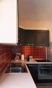 Kuchyň nebo kuchyňský kout v ubytování Baia Blu Apartments