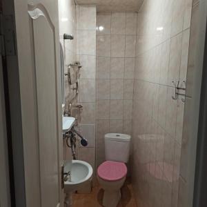 baño con aseo rosa y lavamanos en Готель-хостел en Truskavets