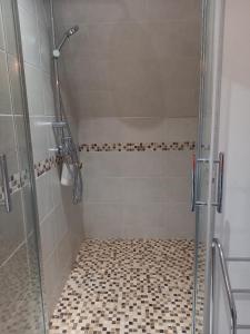 a shower with a glass door in a bathroom at LES TALOCHES in Tourtoirac