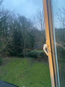 an open window with a view of a yard at Cozy home in Croydon