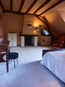 a bedroom with a bed and a desk and a television at LES TALOCHES in Tourtoirac +32 photos