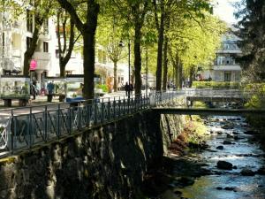 un pont sur une rivière à côté d'une rue dans l'établissement Henning, à Bad Harzburg