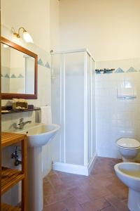 uma casa de banho com um chuveiro, um lavatório e um WC. em Capanna Cottage em Bucine