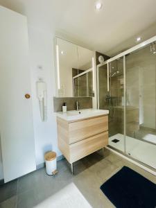 a bathroom with a sink and a shower at Residence Louis Quartier Casino in Vittel