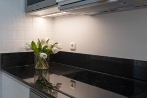 Zdjęcie z galerii obiektu Vivienda con zona de trabajo, piscina y parking w Madrycie