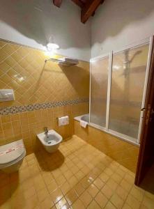 a bathroom with a toilet and a shower at Bed and Breakfast Ca’ Pisani in Stra