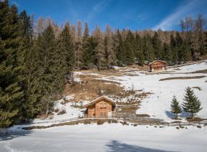 a log cabin in the snow with trees at Chalet Bambi in Rabbi