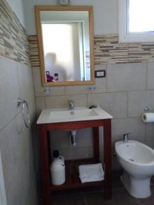 ein Badezimmer mit einem Waschbecken, einem WC und einem Spiegel in der Unterkunft Ojo de Agua Villa La Angostura in Villa La Angostura