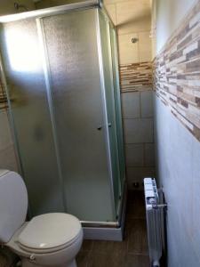 ein Bad mit einem WC und einer Glasdusche in der Unterkunft Ojo de Agua Villa La Angostura in Villa La Angostura