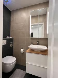 a bathroom with a sink and a toilet and a mirror at Lovely HOME Suite in Nuremberg in Nürnberg