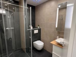 La salle de bains est pourvue d'une douche, de toilettes et d'un lavabo. dans l'établissement Lovely HOME Suite in Nuremberg, à Nuremberg