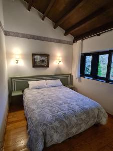 1 dormitorio con 1 cama grande en una habitación en Amaicha casona, en Ribadesella