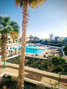a resort with a palm tree and a swimming pool at Casa Anita in Costa de Antigua
