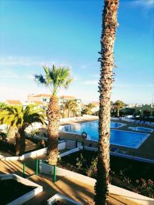 A view of the pool at Casa Anita or nearby