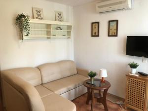 Телевизор и/или развлекательный центр в Green Paradise Apartment Novalja