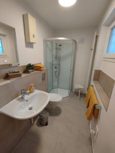 uma casa de banho com um chuveiro, um lavatório e um WC. em Ferienwohnung Leinetal em Elze