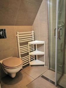 a bathroom with a toilet and a shower at Hostel 55 - darmowy parking in Wrocław
