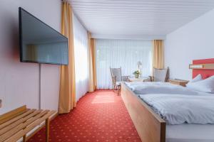 um quarto de hotel com uma cama e uma televisão de ecrã plano em Sauerländer Hof em Eslohe