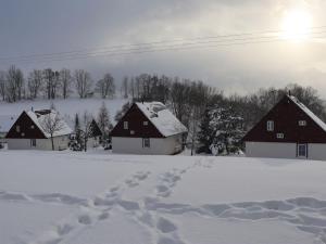 Ferienhaus Cerny Dul 200S v zimě