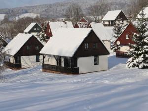 Ferienhaus Cerny Dul 200S v zimě