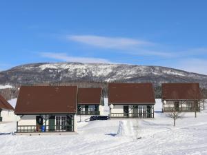 Ferienhaus Cerny Dul 200S v zimě