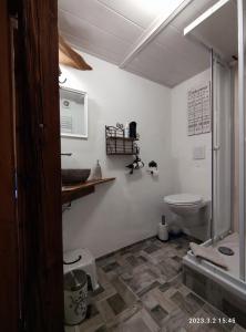 a bathroom with a toilet and a sink at Ferienwohnung Schug in Homburg