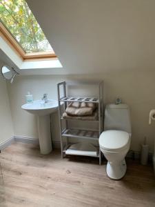 a bathroom with a toilet and a sink at The Apartment in Langley Park