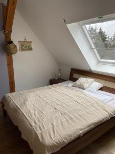 een slaapkamer met een groot bed en een raam bij Pension Haus Magarethe am Meer Poel in Insel Poel