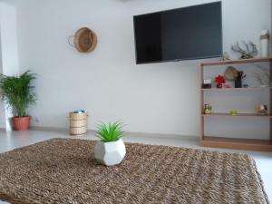 a living room with a potted plant on a rug at Relaxing beachfront loft in Cancún
