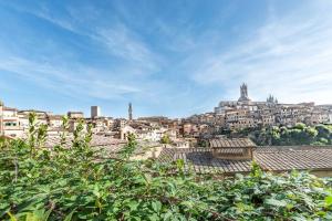 uma vista para uma cidade com edifícios e árvores em Horse Apartment nel centro di Siena em Siena