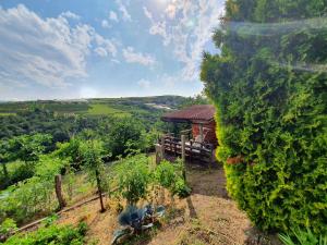 una vista de un viñedo con un edificio en un campo en La SPACIEUSE- Chambre privée-Cosy-Climatisée, en Genilac