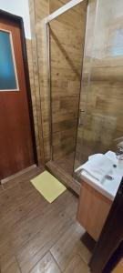 a bathroom with a shower and a sink at Penzion Svojanov in Svojanov